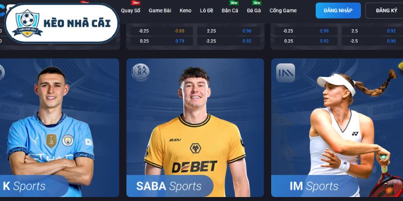 Các chương trình ưu đãi dành cho khách hàng