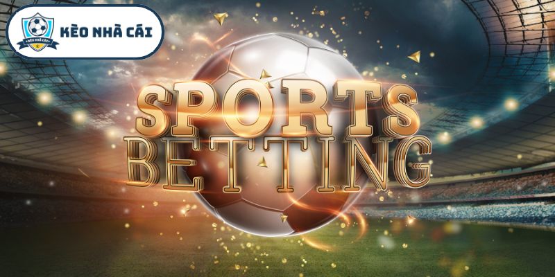 Các điều khoản an toàn giúp người chơi bảo vệ tài khoản