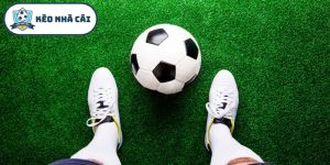 Cách theo dõi biến động kèo