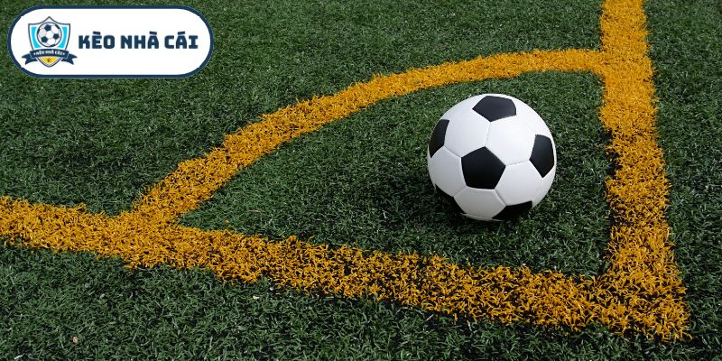 Kinh nghiệm soi kèo để nâng cao tỷ lệ thắng