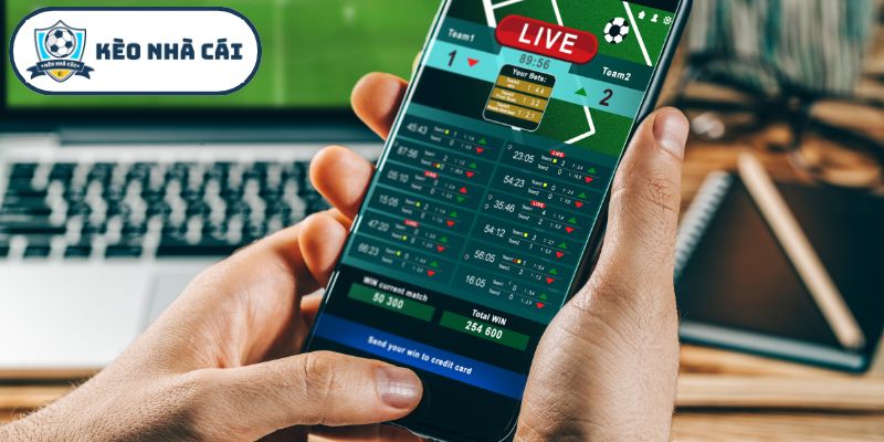 Nắm vững tổng quan các mẹo bắt kèo thể thao chuẩn