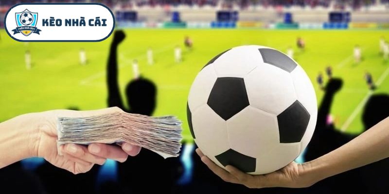 Nghiên cứu kỹ lưỡng các phương pháp đầu tư