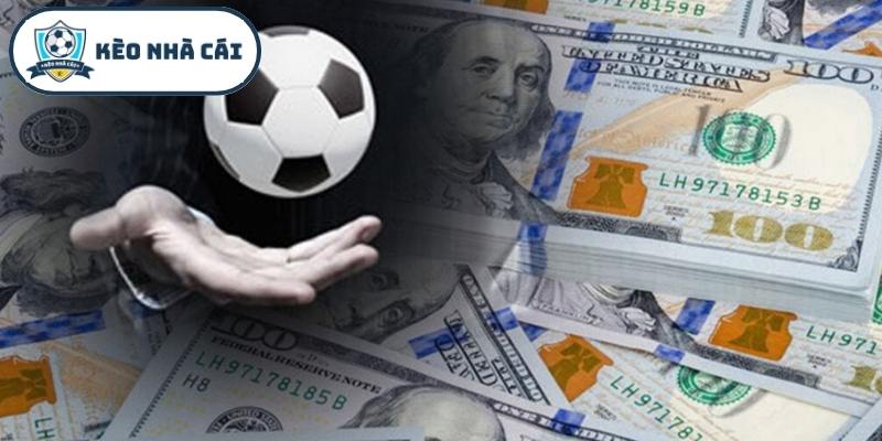 Nhiều câu hỏi người chơi đặt ra