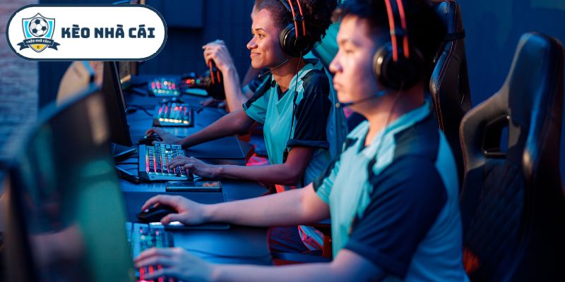 Những dòng game thi đấu đối kháng đặc sắc