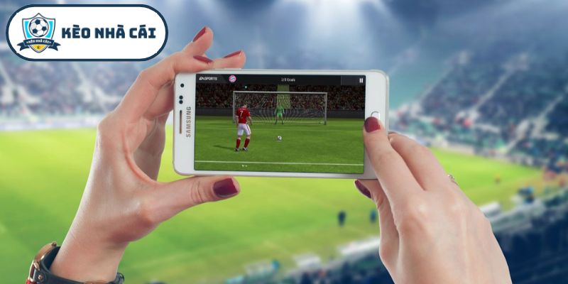 Những lỗi sai phổ biến cần tránh khi cá cược