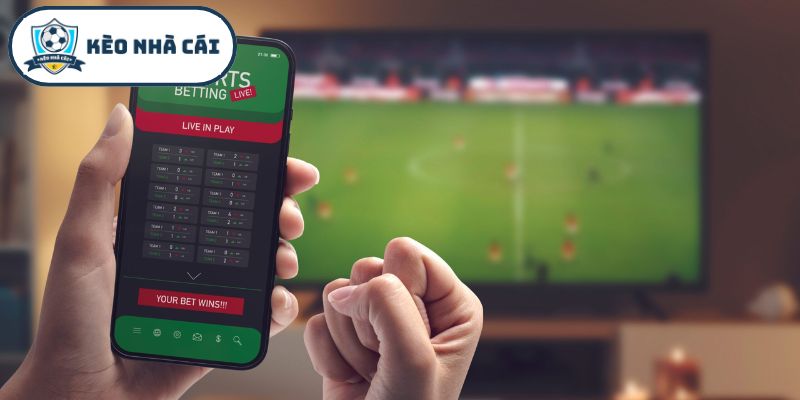 Quy trình các bước kiểm chứng một đơn vị cá cược