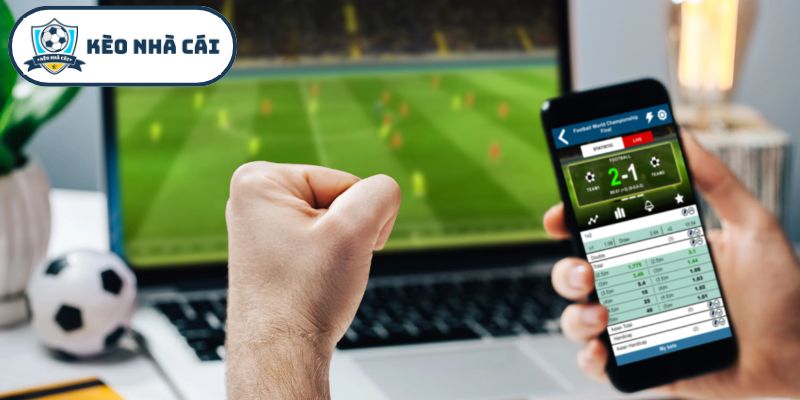 Quy trình thẩm định thông tin cá cược bóng đá