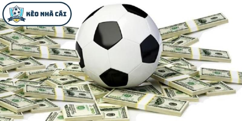 Sự đa dạng của các loại hình tỷ lệ tại Kèo Nhà Cái