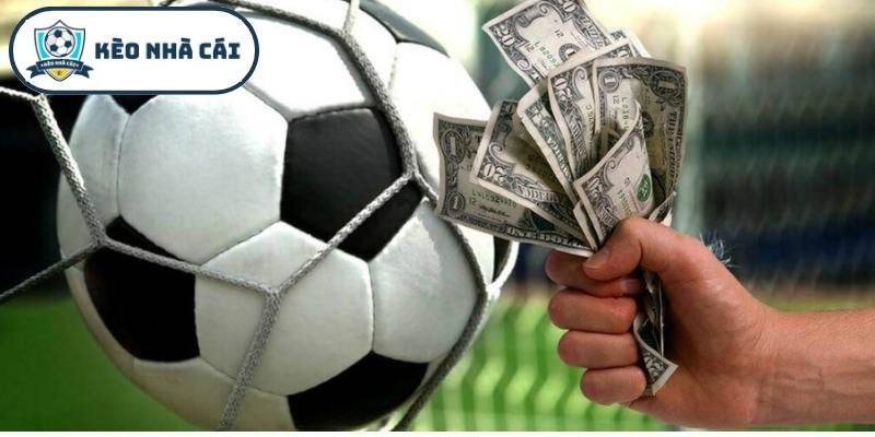 Thông tin tổng quan về các chỉ số tại hệ thống Kèo Nhà Cái