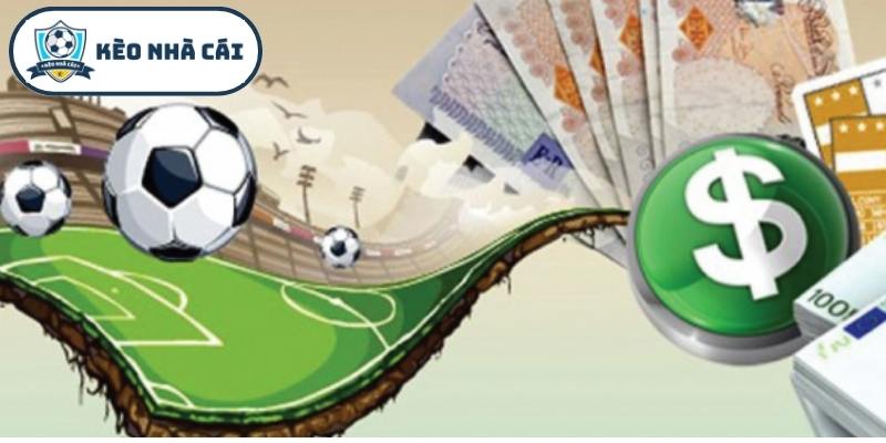 Tiêu chí lựa chọn trang tin tức uy tín về Kèo Nhà Cái